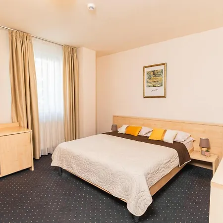 酒店 Pacific 蒂米什瓦拉